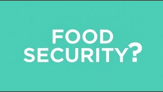 What is food security [upl. by Eemla]