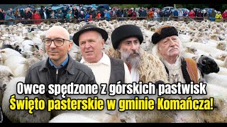 Owce spędzone z górskich pastwisk Święto pasterskie w gminie Komańcza [upl. by Ellennaj]