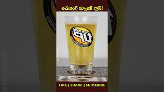 Beers🍻 from the bottom uphow factsintelugu youtubeshorts shortvideo [upl. by Moya]