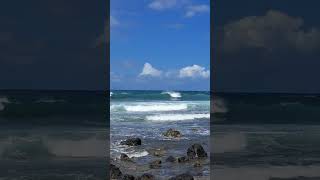 Big Surf is back southshore kauai Poipu Beaches [upl. by Budwig936]