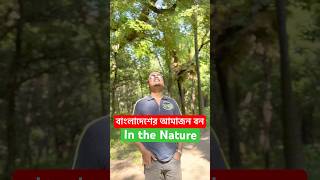 বাংলাদেশের আমাজন বন  In the beautiful Nature  shortsfeed shortvideo naturelover [upl. by Barger]