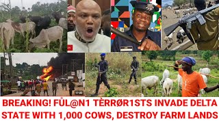 Happening Now Fůln1 Tèrrør1sts Invade Delta State With 10000 Cows Eat Cassava Farm Kpai Student [upl. by Llenrev]