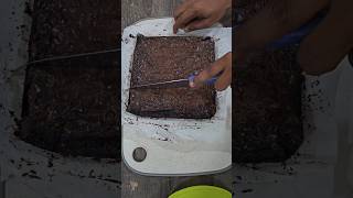 😋🤗ஓரு Brownies செய்யலாமா😍🥰🫰 ytshorts brunei browniesrecipe brownies browniescoklat hobbies [upl. by Reifel]