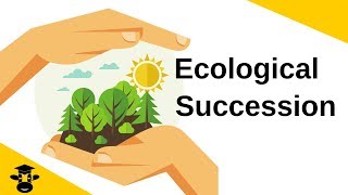 Ecological SuccessionPrimary and Secondary [upl. by Whiting]