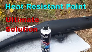 Heat Resistant Paint [upl. by Anec943]