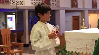 8 Altar Server Training Handling the Cruets [upl. by Hewett556]