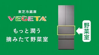 冷蔵庫 VEGETA もっと潤う 摘みたて野菜室｜東芝ライフスタイル [upl. by Scholz]