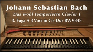 J S Bach on clavichord WTC I Fugue No 3 in C sharp Major WTK I CisDur BWV 848 [upl. by Oilalue]