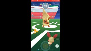 プラスルampマイナンでジムバトル ポケモンgo [upl. by Pall]