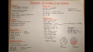 Traumatic Perforation of the Eardrum  clinics ENT [upl. by Meldoh]