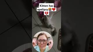 Kitten has epilepsy 😭💔 kitten seizures sound shortsviral shorts [upl. by Yesor566]