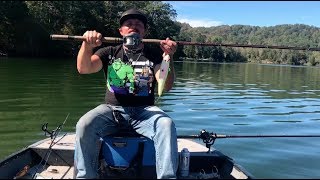 Review Fenwick Elite Tech Predator Series Rod for Musky Fishing [upl. by Birmingham]