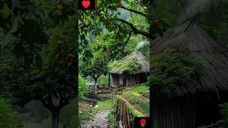 3D nature। beautiful village nature। shorts 3d love nature [upl. by Bernelle552]