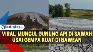 Viral DIsebut Muncul Gunung Api di Sawah Usai Gempa Kuat di Bawean Ini Kata PVMBG [upl. by Olihs]