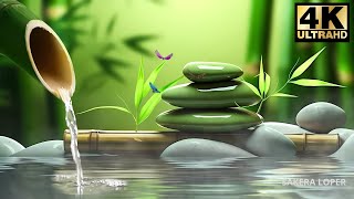 Meditation Music amp Relaxation Relaxing Sleep Music Sounds of Nature and Water Sounds SAKERA LOPER [upl. by Otila]