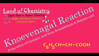 Knoevenagal Reaction Benzaldehyde  Malonic Acid  Cinnamic Acid  Organic Chemistry  Class12 [upl. by Shamus]