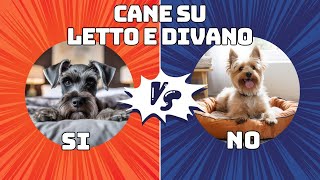 Il cane può salire sul letto e sul divano [upl. by Adiana874]