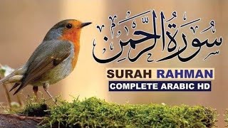 SUREH RAHMAN LOFI QURAN BEST VOICE IN THE WORLD 🌍🌍 [upl. by Eddy]