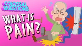 What Is Pain  COLOSSAL QUESTIONS [upl. by Ennaear]