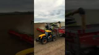 Kombinat Rolny Kietrz Soja 2024 🔥 dc farming youtubeshorts agriculture claas big dlaciebie [upl. by Krystle]