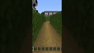 MINECRAFT MAZE minecraft maze minecraftbuilding gaming shorts minecraft maze minecraft [upl. by Aicilec13]