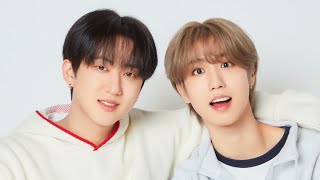 Binsung tiktok edits🐷🐰🐿️stray kids [upl. by Petes]