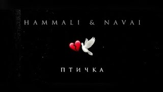 HammAli amp Navai  Птичка [upl. by Tezzil]