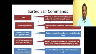 REDIS  SORTED SETS Introduction and Commands NoSQL 26 [upl. by Walrath]