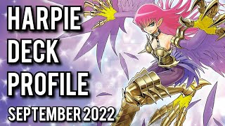 YUGIOH Harpie Deck Profile SEPTEMBER 2022 [upl. by Lebazej]