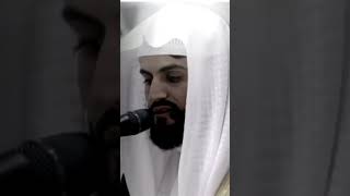 Beautiful recitation  sheikh raad al kurdi quran sheikh raad [upl. by Doniv382]