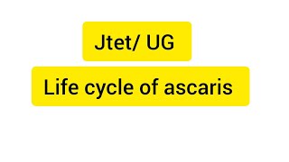 life cycle of ascaris lifecycleofascaris jtet zoology biology [upl. by Llewkcor54]