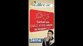 Calculer des LONGUEURS avec THALES  Exercice Corrigé  Maths Troisième [upl. by Gael]