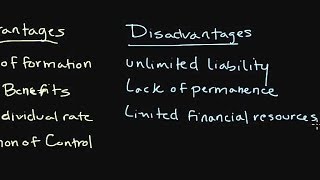 How a Sole Proprietorship Works  Introduction to Legal Structures [upl. by Cirde]