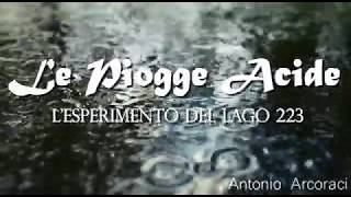 Le Piogge Acide  Lesperimento del Lago 223 [upl. by Domenico648]