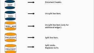 SAP Financial Accounting FI New General Ledger Data Structures [upl. by Hernando144]