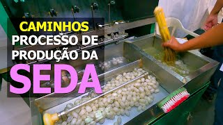 PROCESSO DE PRODUÃ‡ÃƒO DE SEDA  BICHODASEDA  DEMONSTRAÃ‡ÃƒO DIDÃTICA NA EXPO JAPÃƒO LONDRINA [upl. by Aurie392]