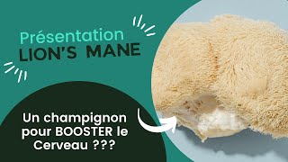 Présentation du Lions Mane  Le Champignon crinière de lion [upl. by Lon]