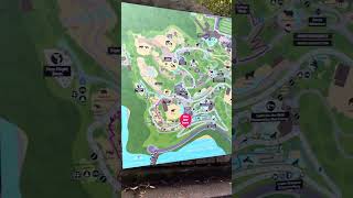 Need a map in Taronga Zoo [upl. by Pytlik]