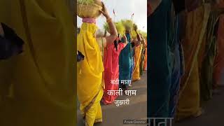 tiktok jawara visarjan 2024 chhattisgarhigana [upl. by Annohsal]