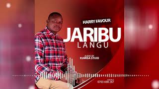 HARRY FAVOUR  JARIBU LANGU Official video lyrics [upl. by Engamrahc]