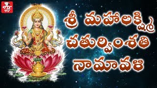 Sri Mahalakshmi Chaturvimsati Namavali  Sri Lakshmi Ashtothram  Sri Mahalakshmi Stotram [upl. by Nadbus]