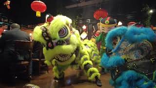 Double Drunken Lion Dance by GDPT Linh Son NW  Chinese New Year 2024  Houston TX [upl. by Leverick36]