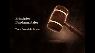 Principios fundamentales del Derecho Procesal [upl. by Arihppas]