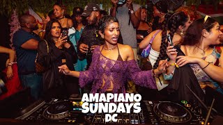 Amapiano Live Mix  AmapianoDMV x PRIYANKA [upl. by Bertasi]