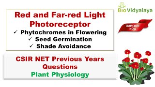 Red and FarRed Light Effect on Seed germination  PHYTOCHROME  SDP amp LDP  With Practice Questions [upl. by Ahsinelg809]