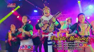 Pedrito Montañez 2018 quotQhayna Wata 🎧🎤 Vidallachus Rantina Kanmanquot ► AGP Producciones®✓ ᴴᴰ [upl. by Amol]