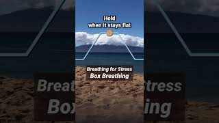 Breathing for Stress Box Breathing [upl. by Memberg]