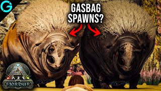 Gasbag Spawn Locations on Fjordur [upl. by Einahpets787]