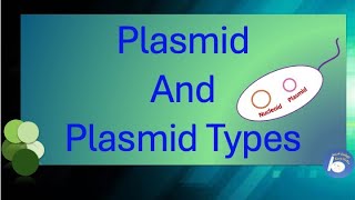 Plasmid and its types [upl. by Ellerret327]