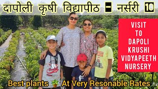 Dapoli krushividyapeeth Nursery  best Plat nursery  Dapoli Nursery [upl. by Yerac]